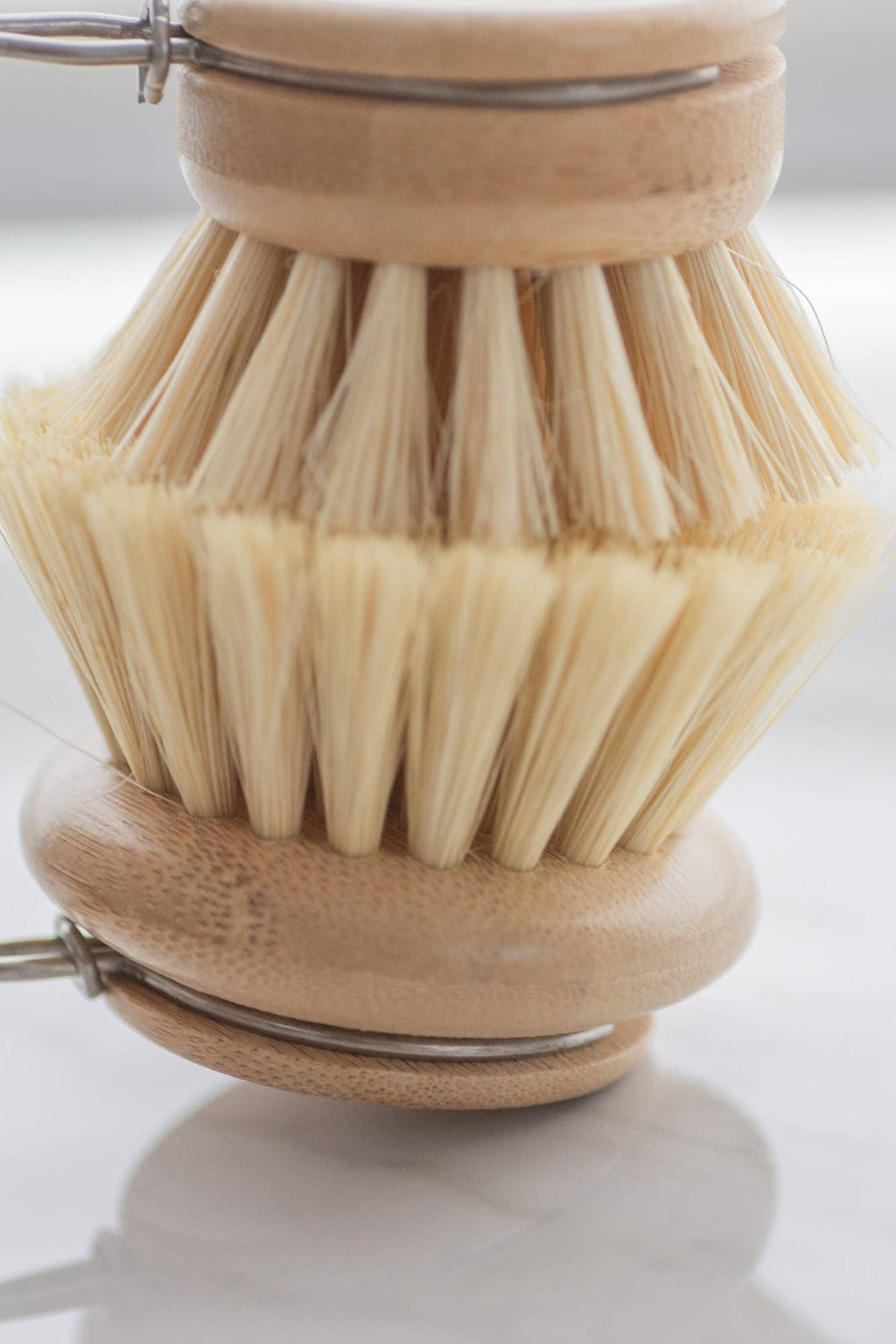 CASA AGAVE® dish brush replacement head only - No Tox Life