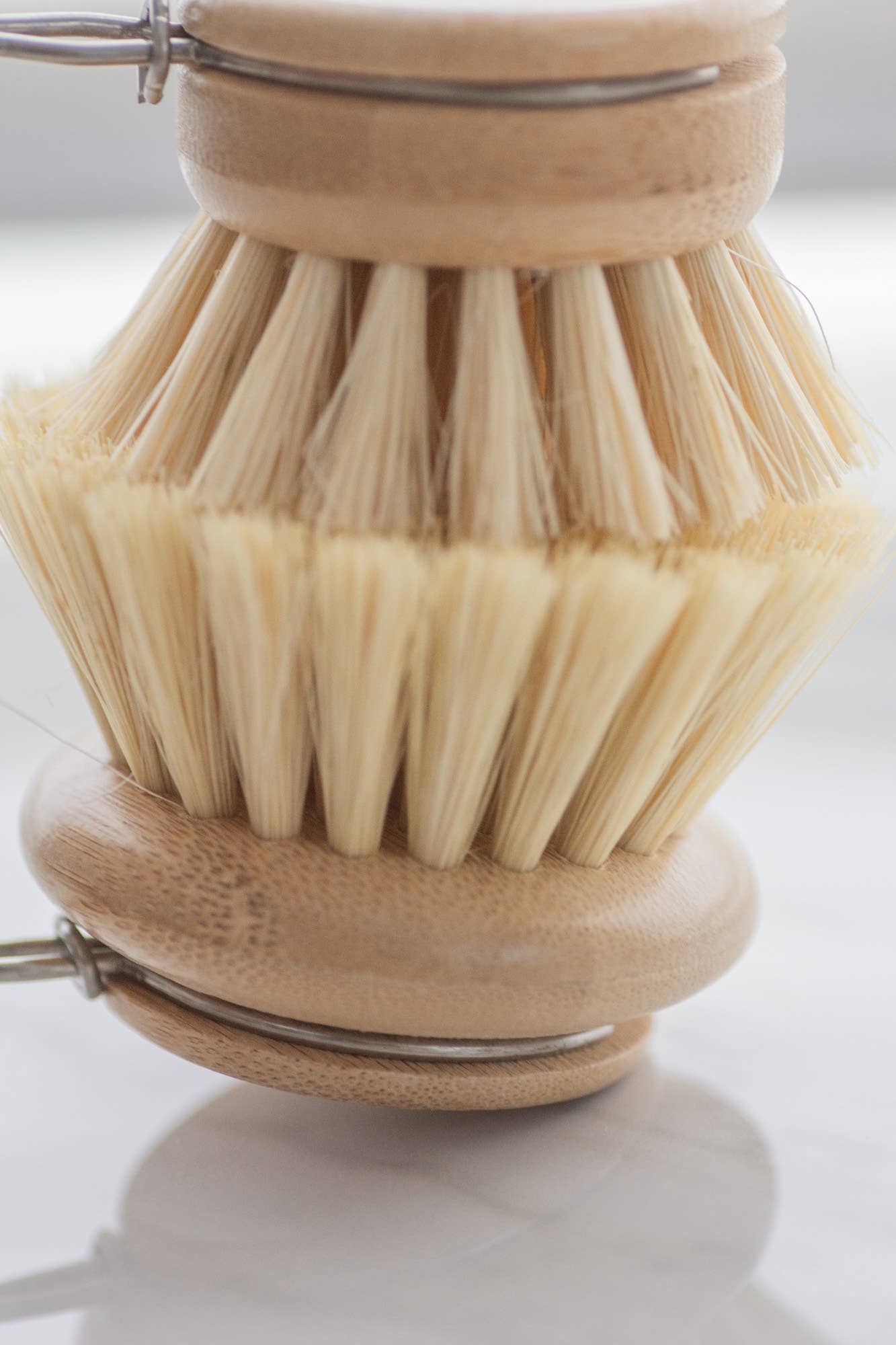 CASA AGAVE® dish brush replacement head only - No Tox Life