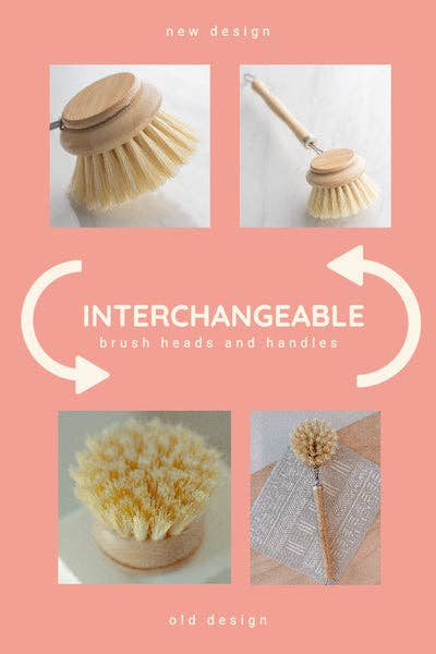 CASA AGAVE® dish brush replacement head only - No Tox Life