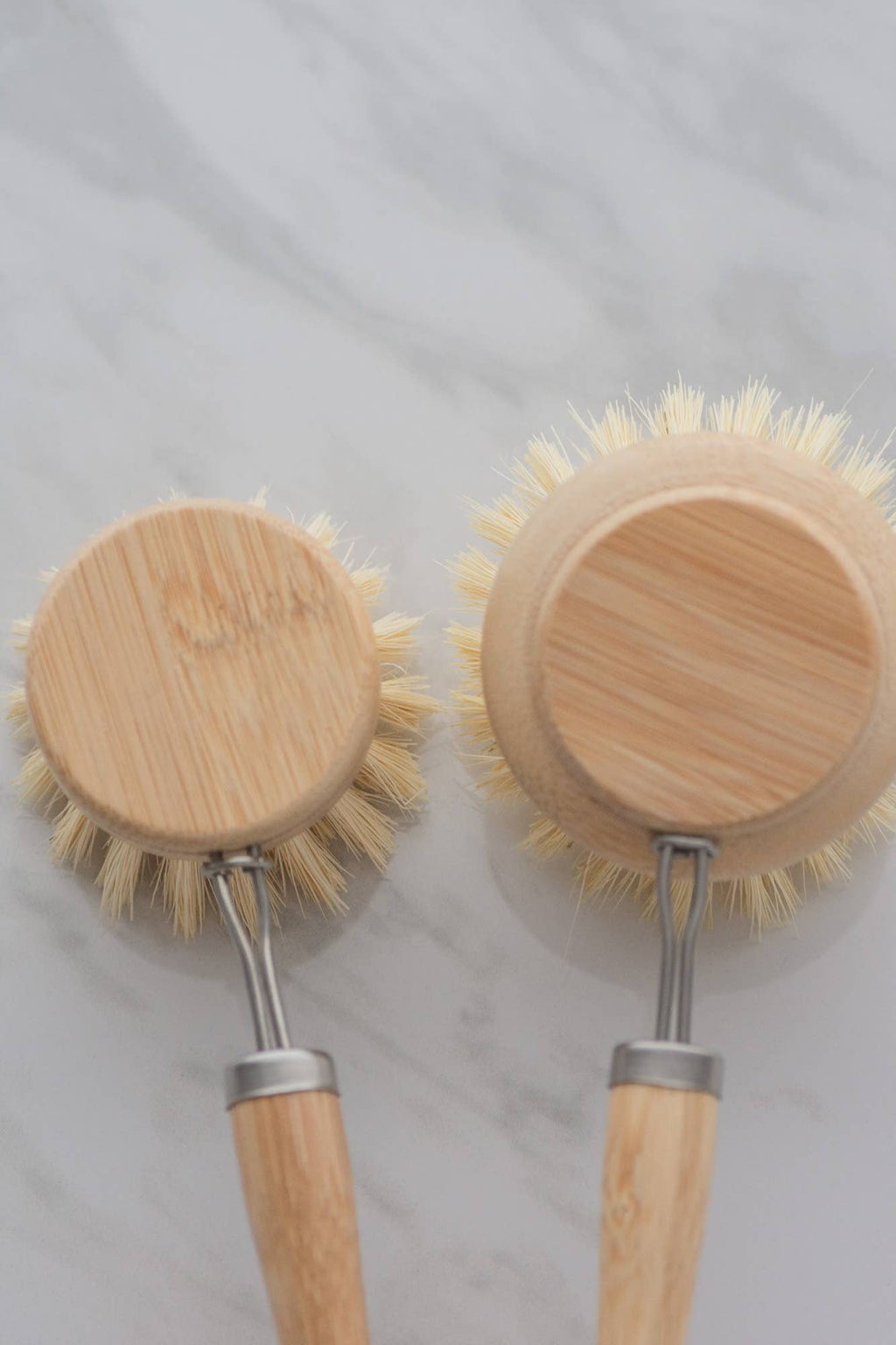 CASA AGAVE® dish brush replacement head only - No Tox Life