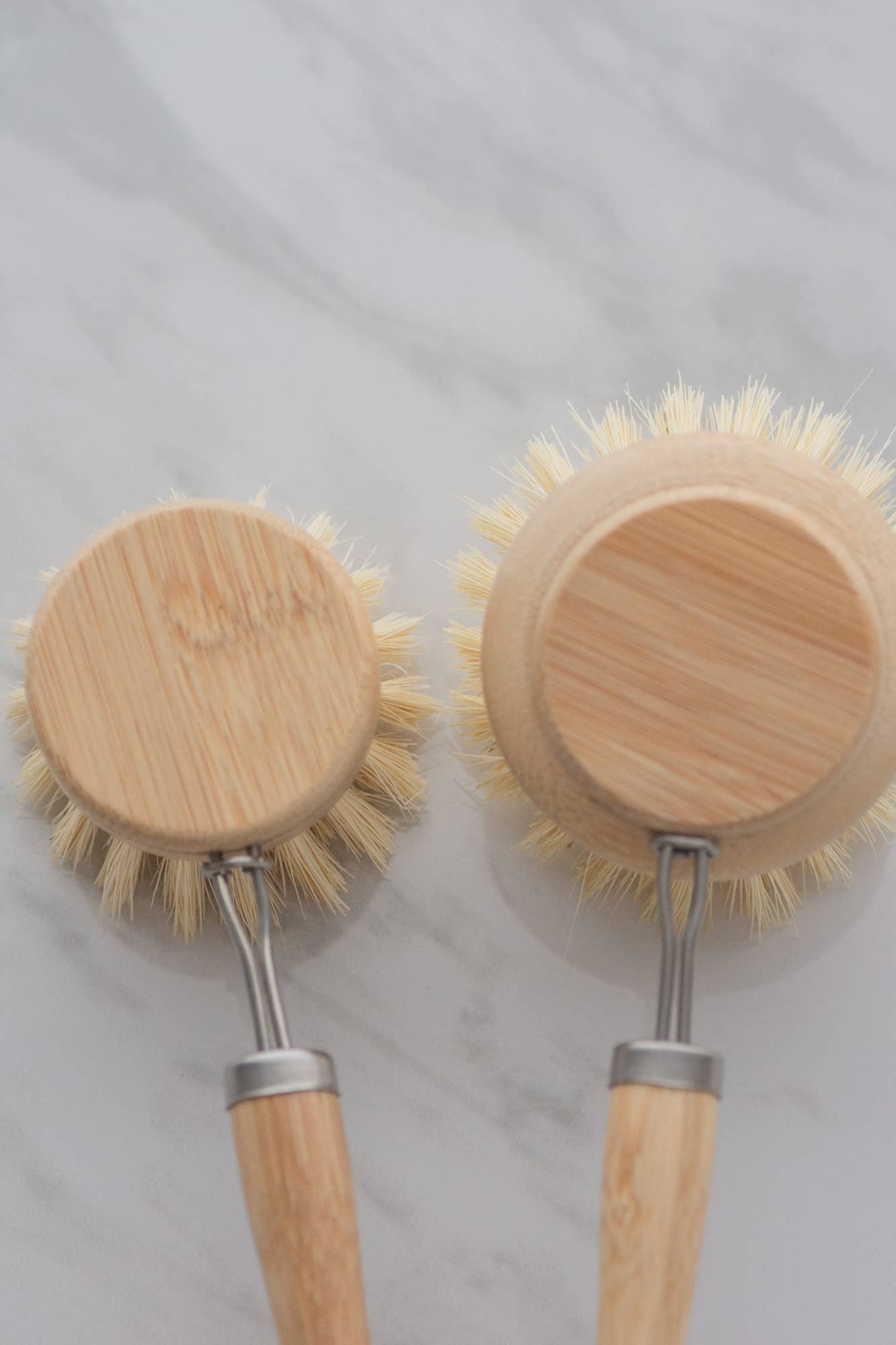 CASA AGAVE® dish brush replacement head only - No Tox Life
