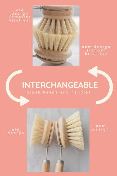 CASA AGAVE® dish brush replacement head only - No Tox Life