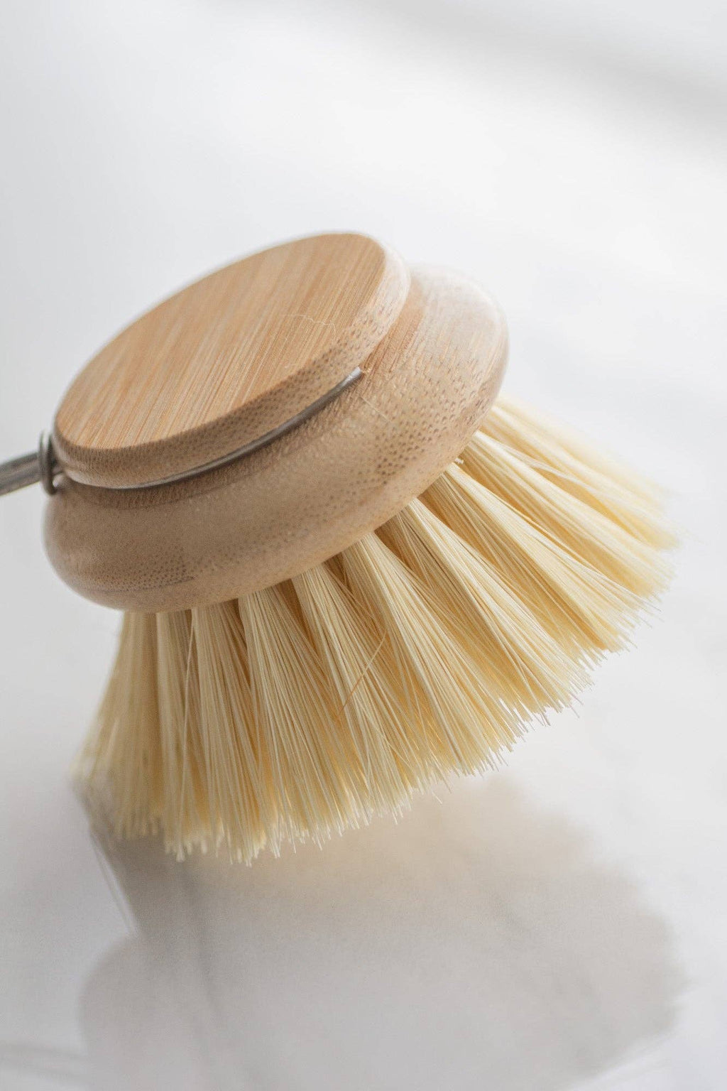 CASA AGAVE® dish brush replacement head only - No Tox Life