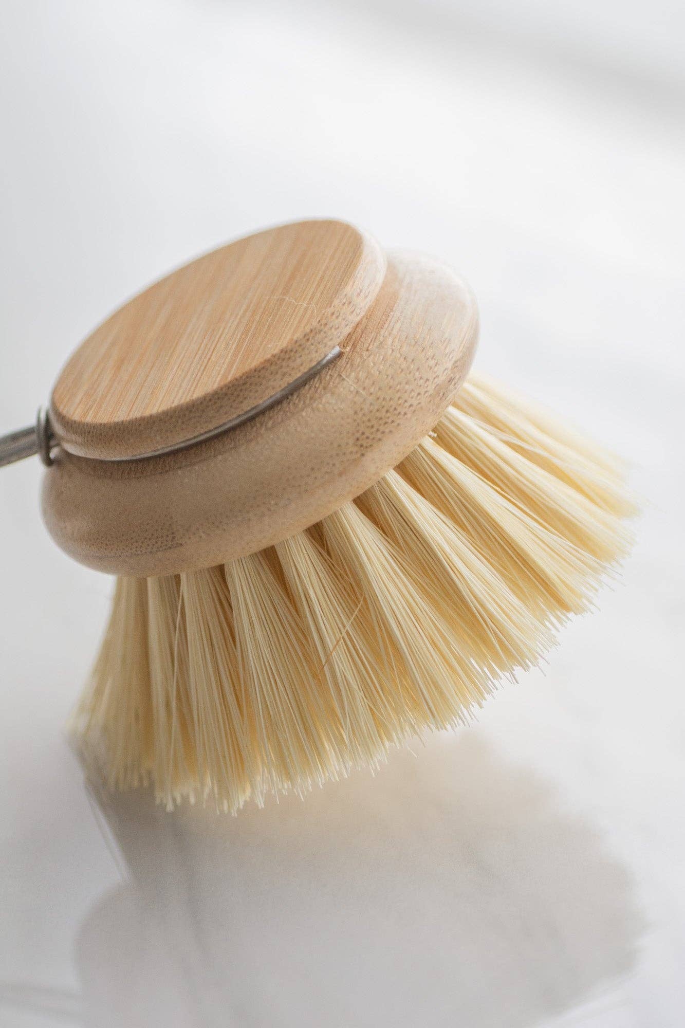 CASA AGAVE® dish brush replacement head only - No Tox Life