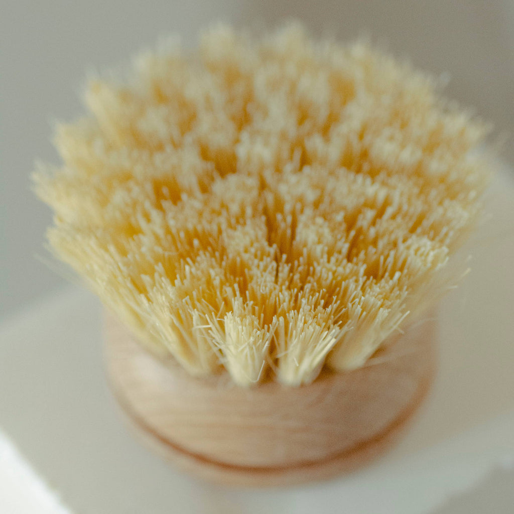 CASA AGAVE® Long Handle Dish Brush White Teak - No Tox Life