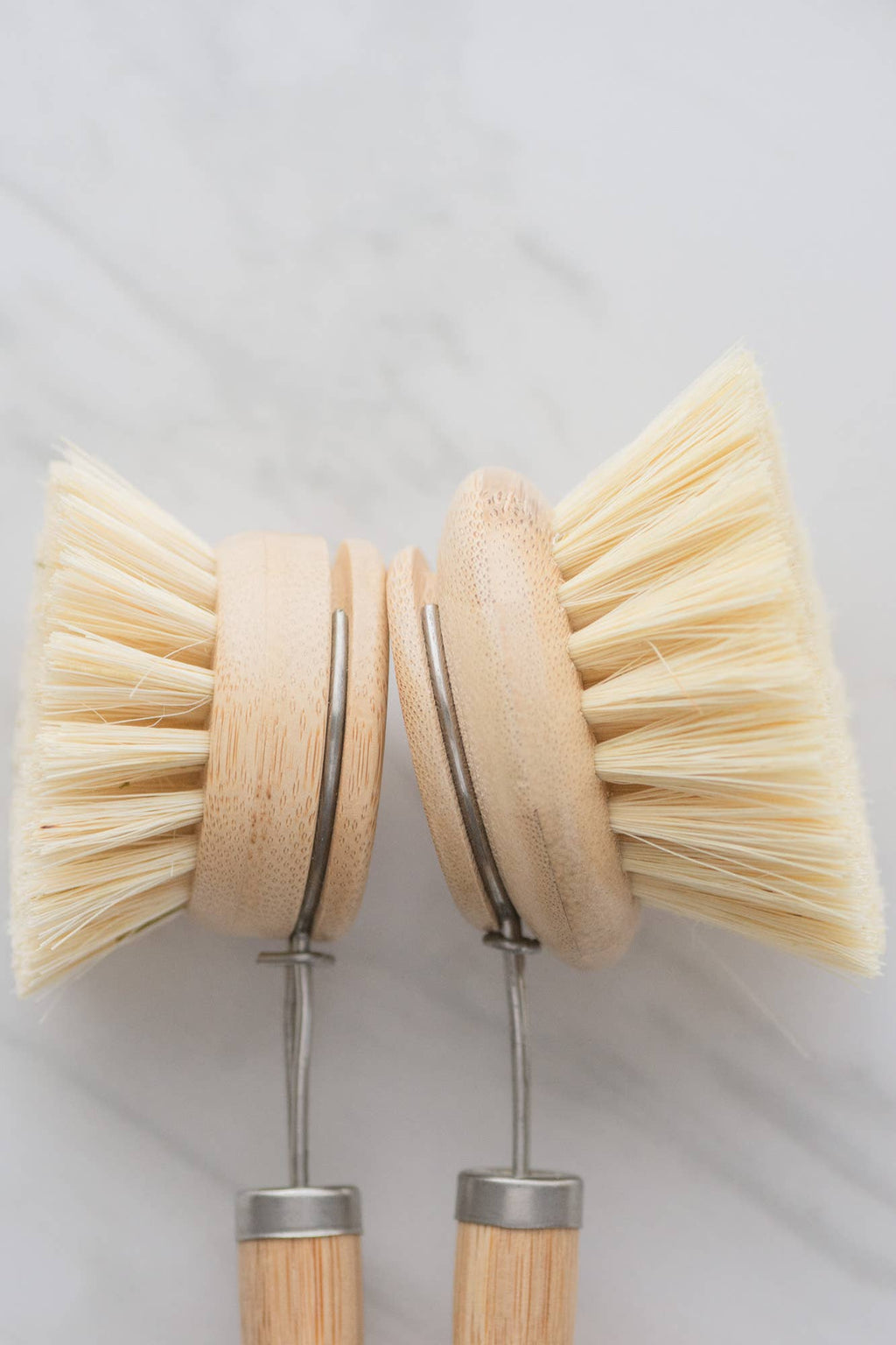 CASA AGAVE® dish brush replacement head only - No Tox Life