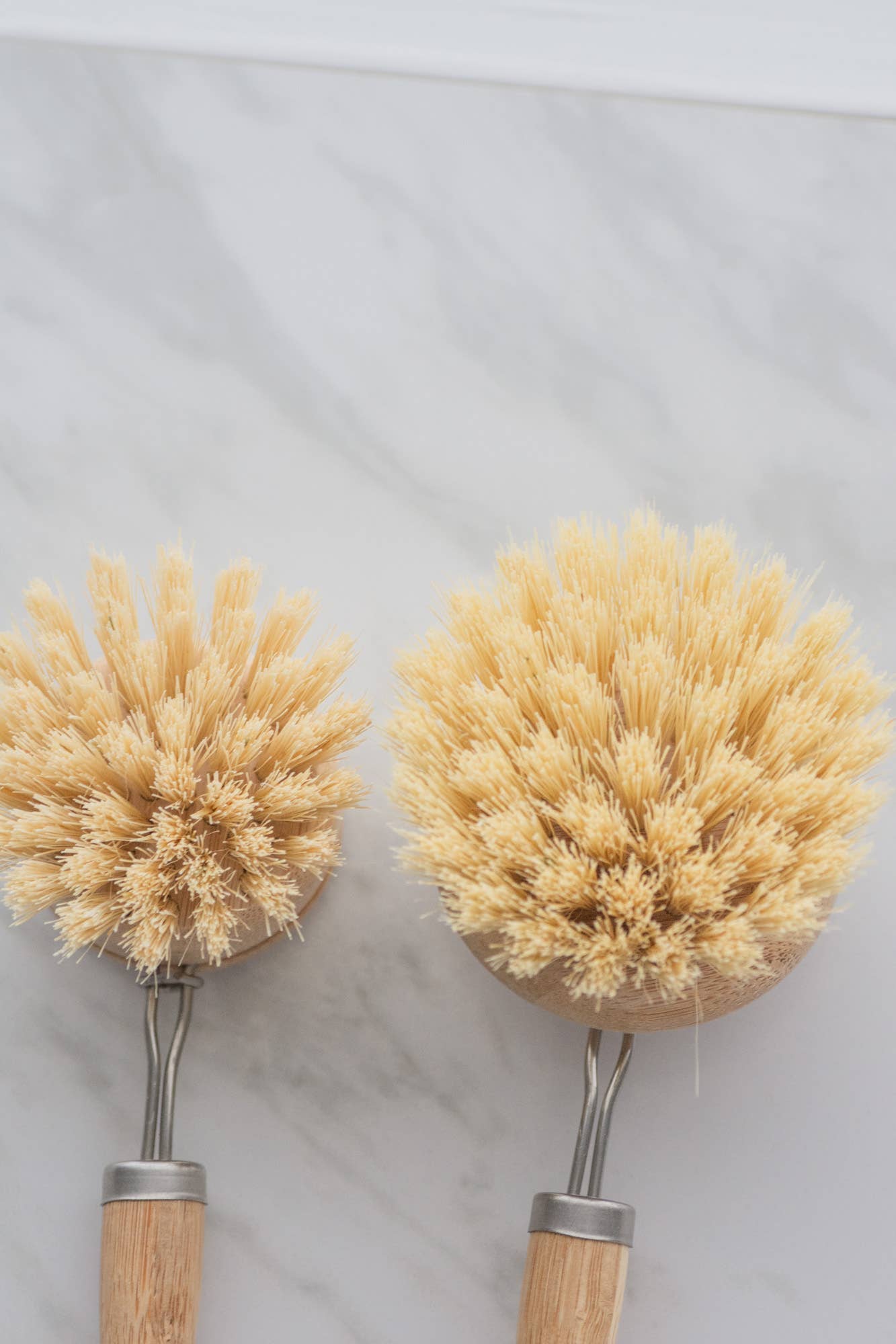 CASA AGAVE® dish brush replacement head only - No Tox Life