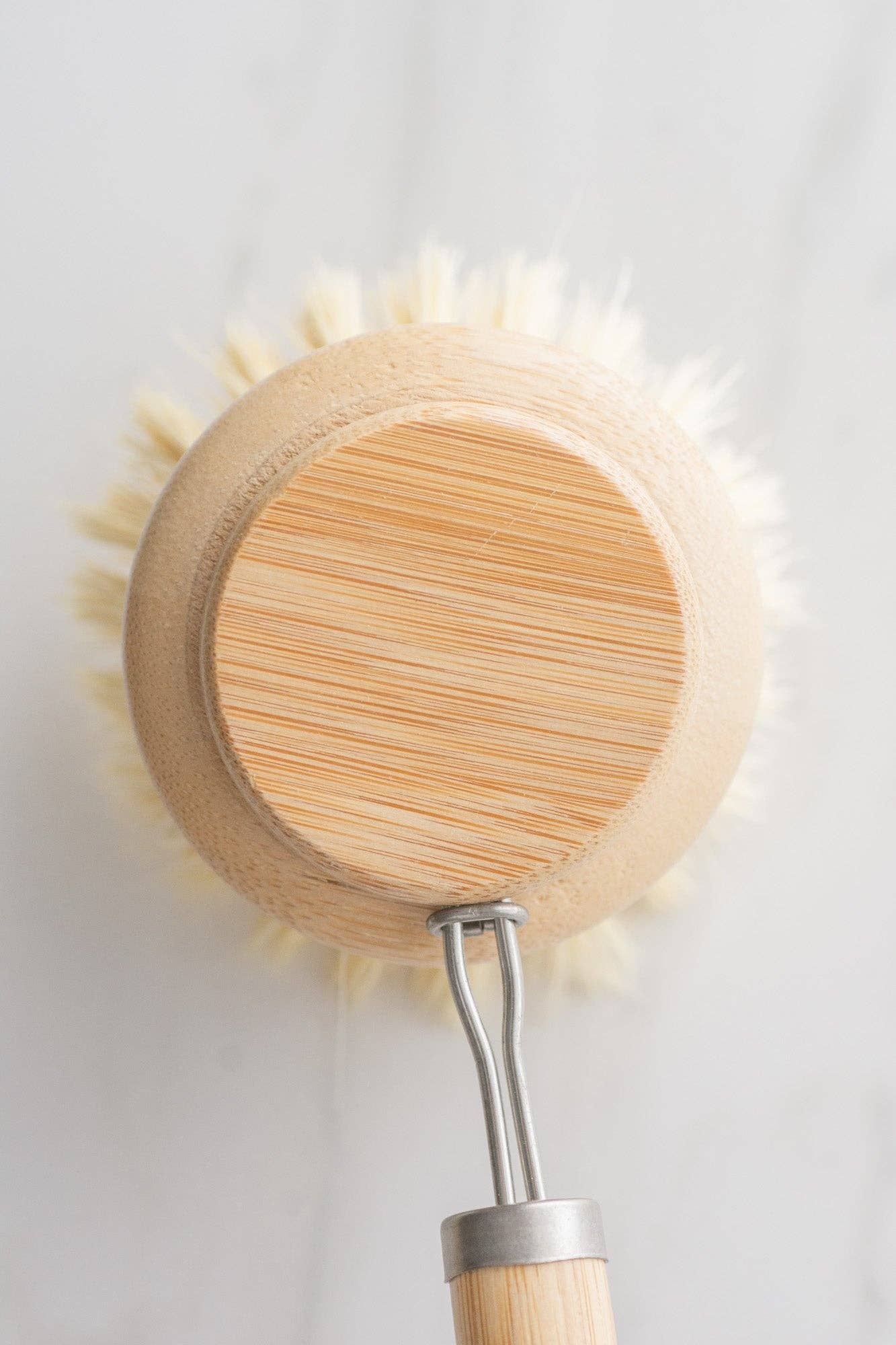 CASA AGAVE® dish brush replacement head only - No Tox Life